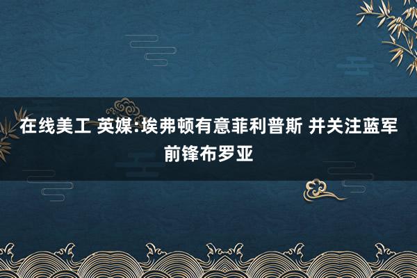 在线美工 英媒:埃弗顿有意菲利普斯 并关注蓝军前锋布罗亚