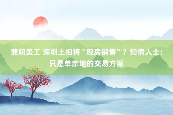 兼职美工 深圳土拍将“现房销售”？知情人士：只是单宗地的交易方案